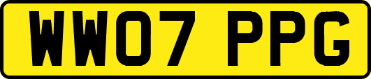 WW07PPG