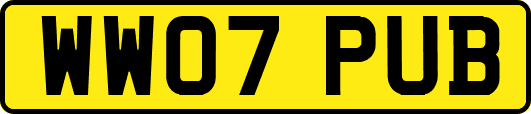 WW07PUB