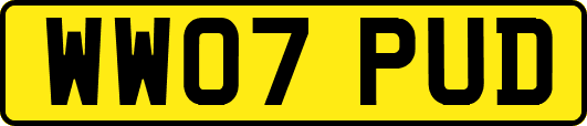 WW07PUD