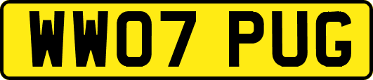 WW07PUG