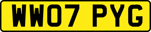 WW07PYG