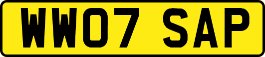 WW07SAP