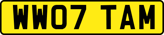 WW07TAM