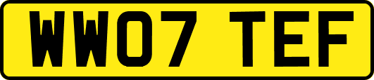 WW07TEF