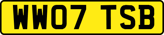 WW07TSB