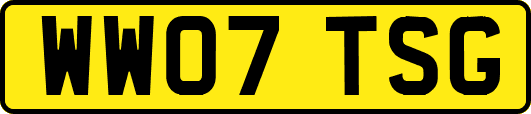 WW07TSG