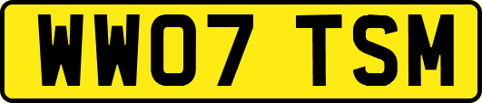 WW07TSM