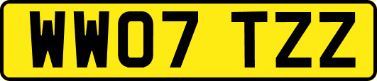WW07TZZ