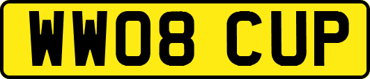 WW08CUP