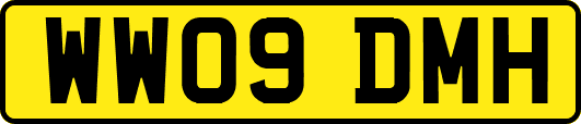 WW09DMH