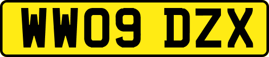 WW09DZX