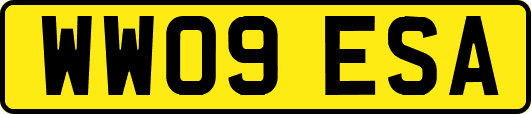 WW09ESA