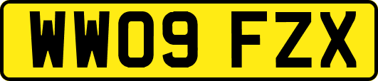 WW09FZX