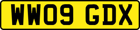 WW09GDX