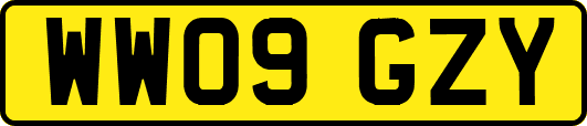 WW09GZY