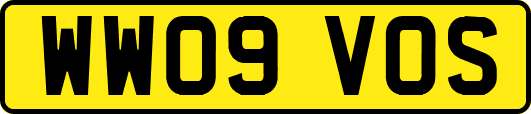 WW09VOS