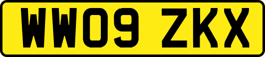 WW09ZKX