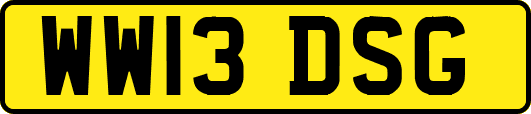 WW13DSG