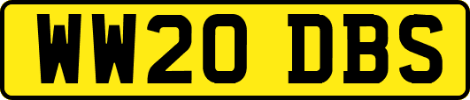 WW20DBS