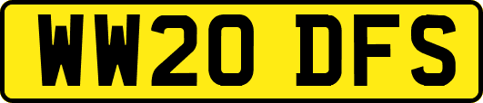 WW20DFS