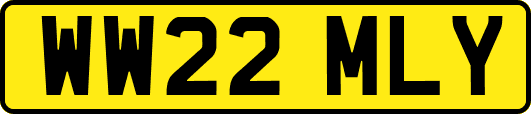 WW22MLY