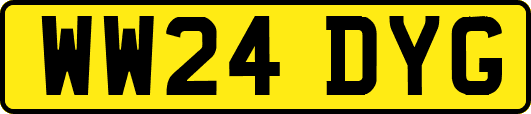 WW24DYG