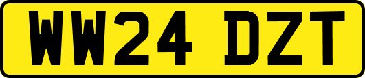 WW24DZT