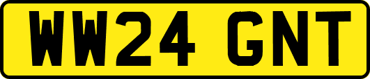 WW24GNT