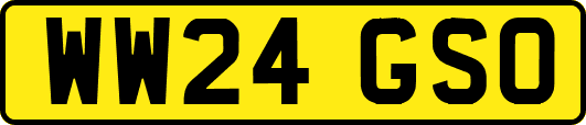 WW24GSO