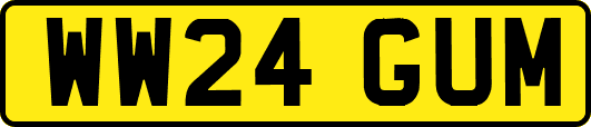 WW24GUM
