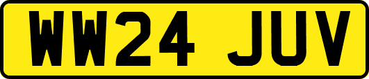 WW24JUV