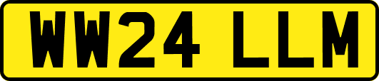 WW24LLM