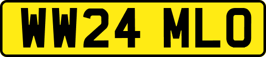 WW24MLO