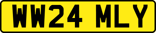 WW24MLY