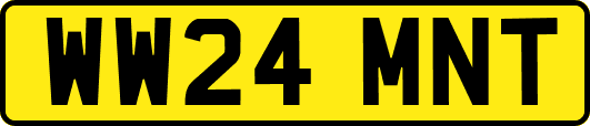 WW24MNT