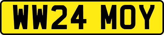 WW24MOY