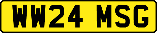 WW24MSG