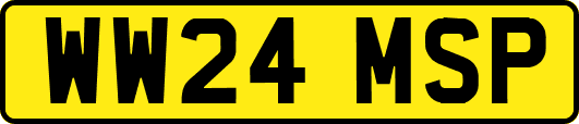 WW24MSP