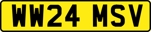 WW24MSV