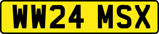 WW24MSX