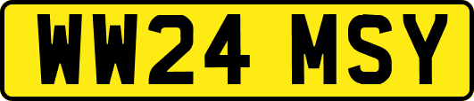 WW24MSY