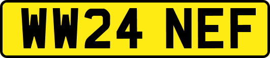 WW24NEF