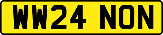 WW24NON