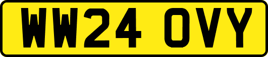 WW24OVY