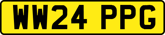 WW24PPG
