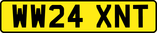 WW24XNT