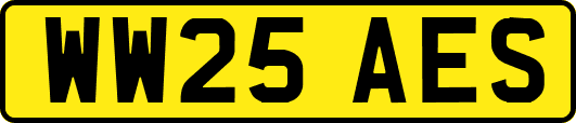 WW25AES