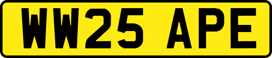 WW25APE