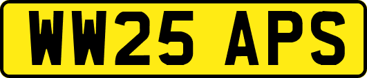WW25APS
