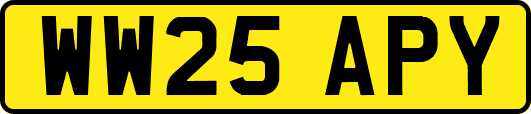 WW25APY